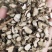 【文斌药业】石菖蒲质优价廉地道药材极速发货