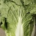 精品大白菜！毛菜六到八斤！质量好！价格合理！货源充足！