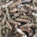 【文斌药业】夏枯球统货颜色好地道药材