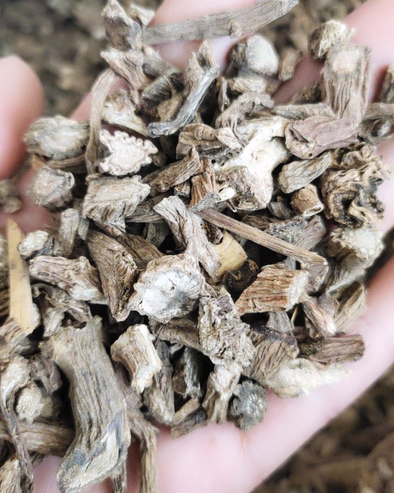 【文斌药业】川断续断。统装货过筛货地道药材