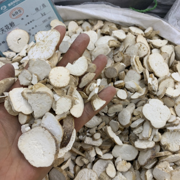 天花粉无硫磺熏蒸一公斤起批实物图片