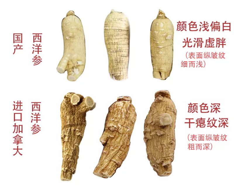 西洋参加拿大花旗参500g装西洋参片西洋参粉批发