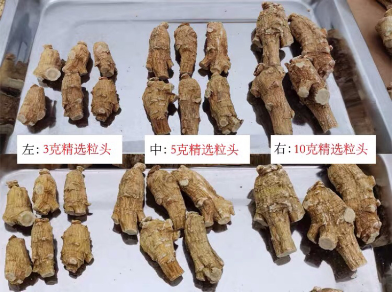 西洋参加拿大花旗参500g装西洋参片西洋参粉批发