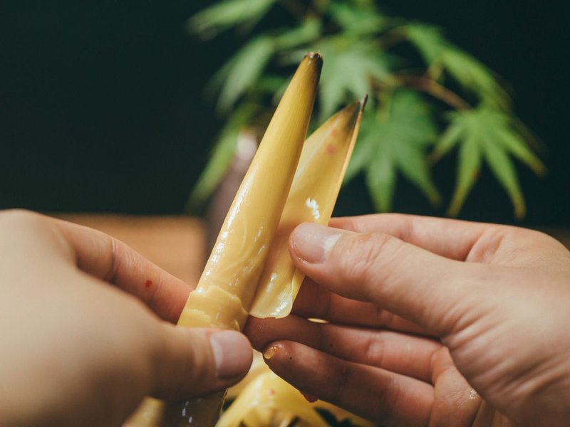 网红手剥笋一件代发，支持快手，抖音，微商团购