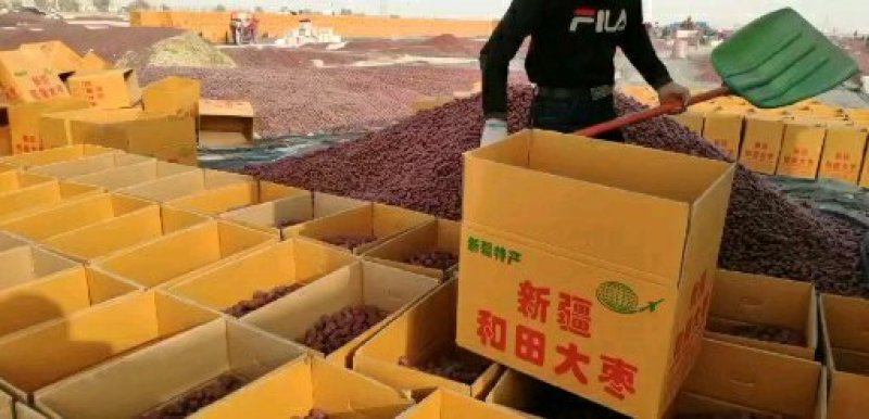 新疆灰枣特级灰枣原枣无任何加工支持电商一件代发全国包邮