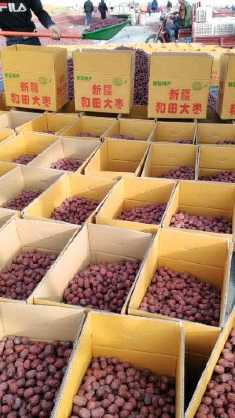 新疆灰枣特级灰枣原枣无任何加工支持电商一件代发全国包邮