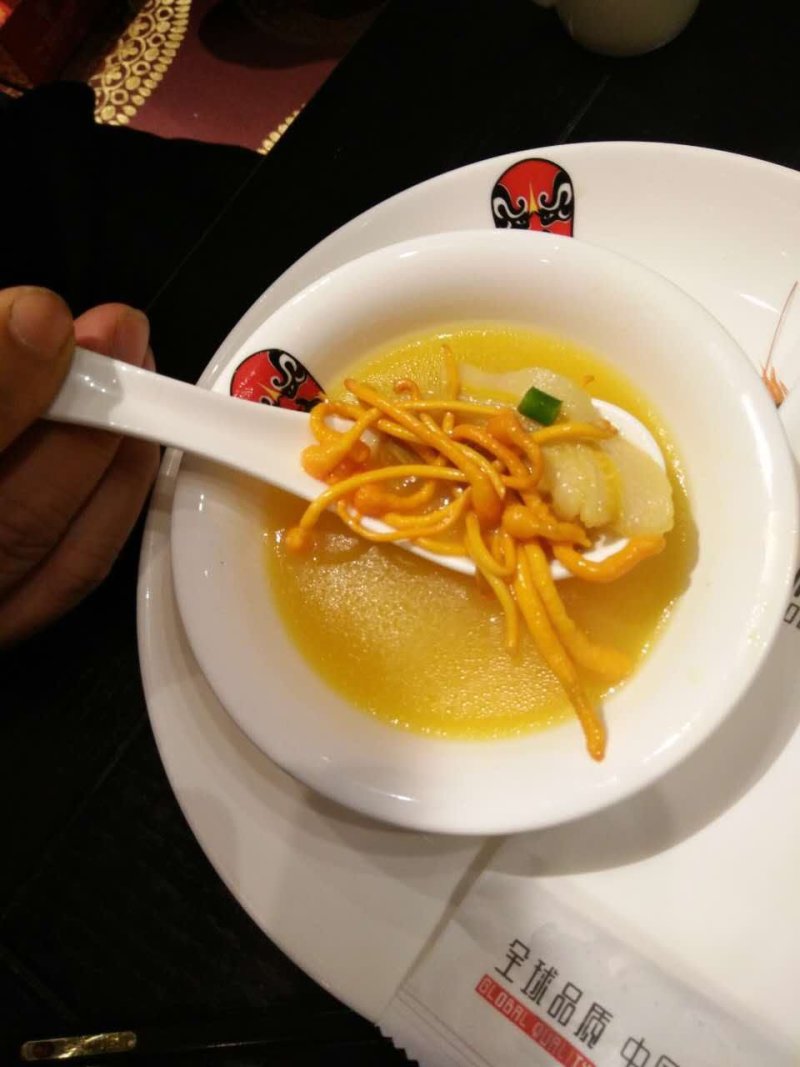 北虫草，蛹虫草菌种，母种