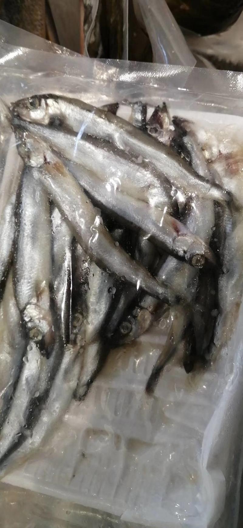 多春鱼满籽鲜活冷冻新鲜加拿大原装进口