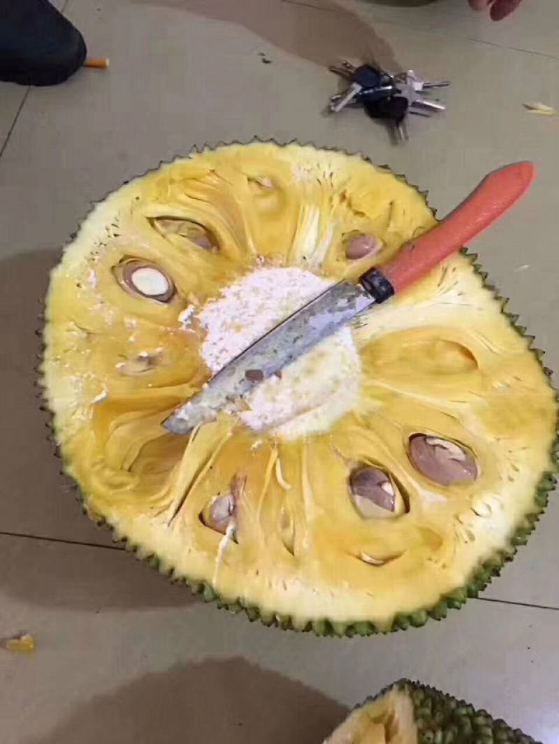 菠萝蜜热带水果专业验果团队