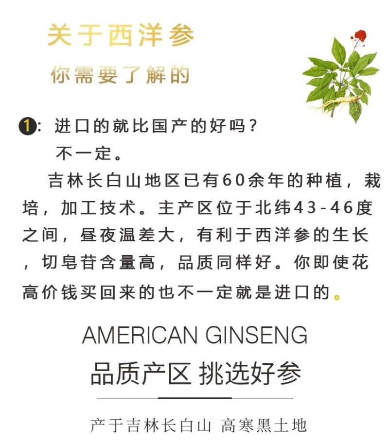 独立包装软质西洋参片国产西洋参切片东北特产西洋参片