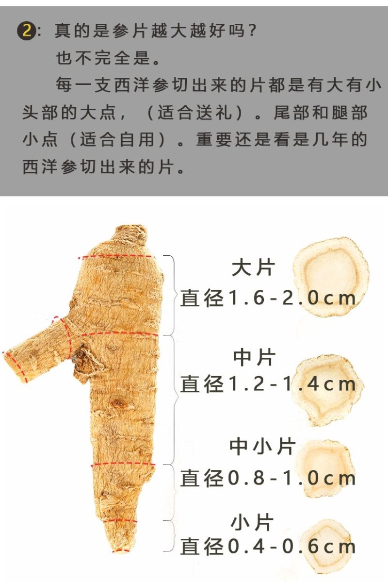 独立包装软质西洋参片国产西洋参切片东北特产西洋参片
