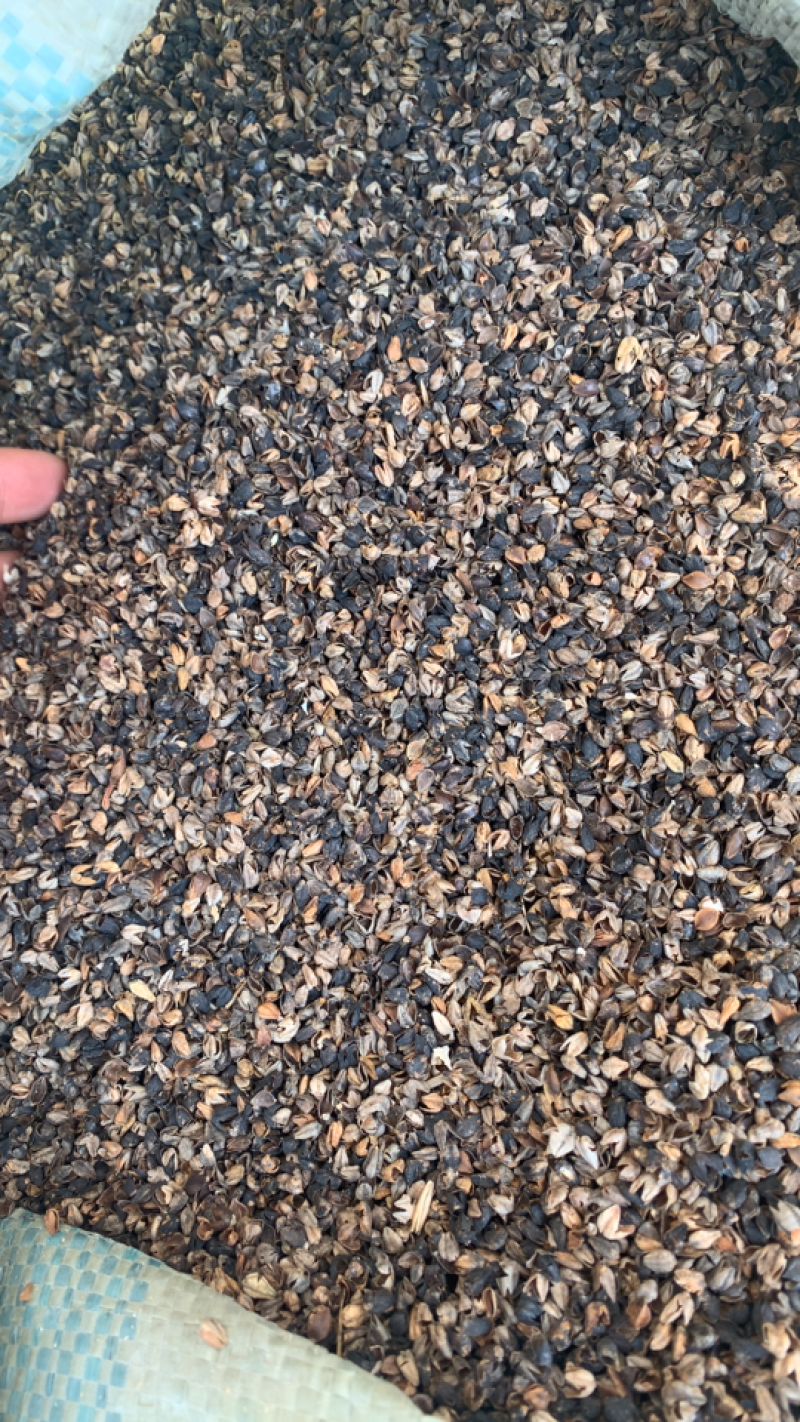 荞麦皮