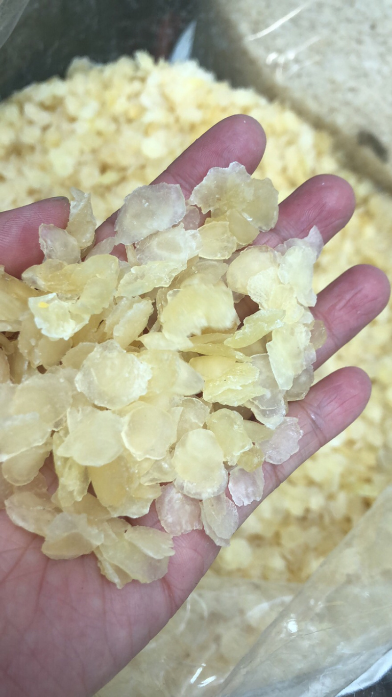 皂角米雪莲子现货批发规格齐全量大优惠