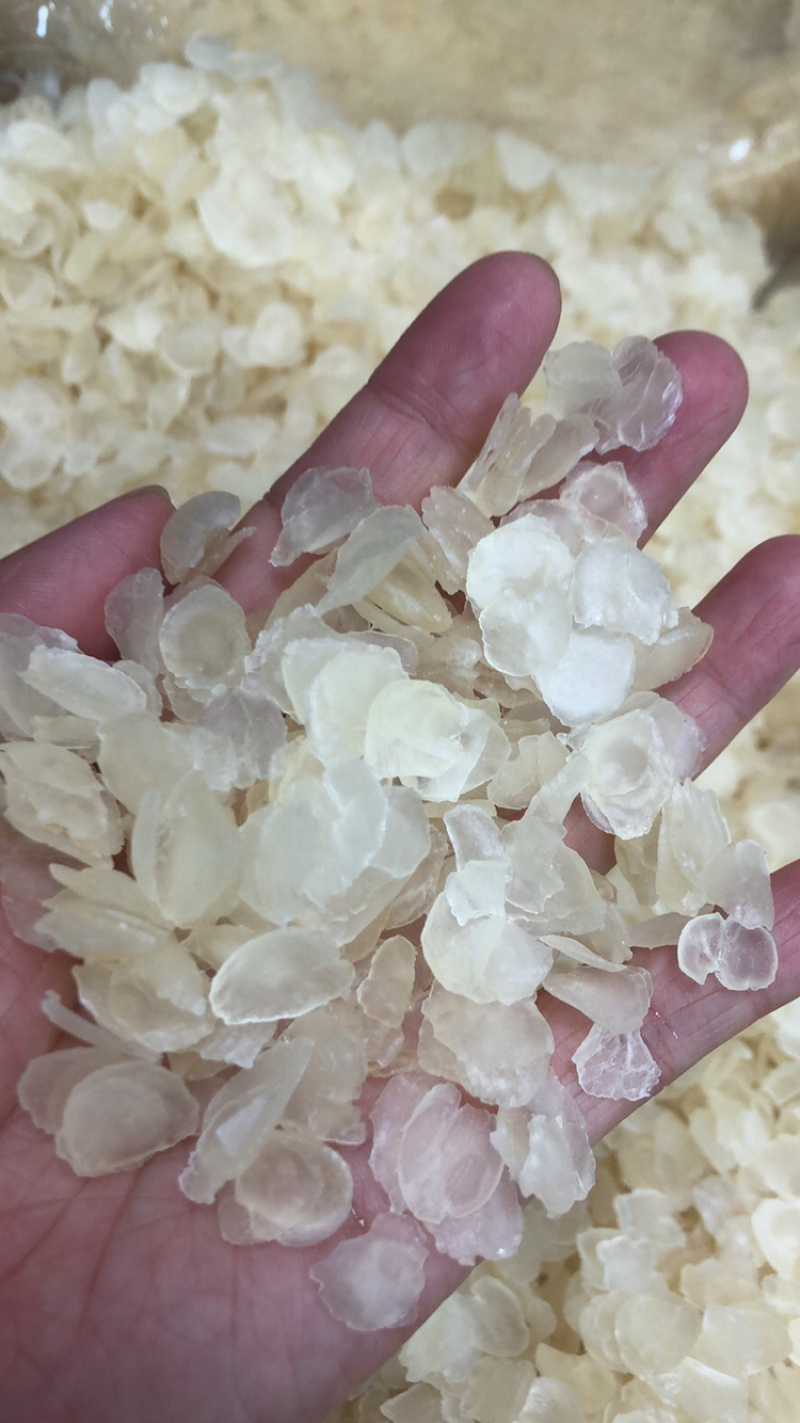 皂角米雪莲子现货批发规格齐全量大优惠