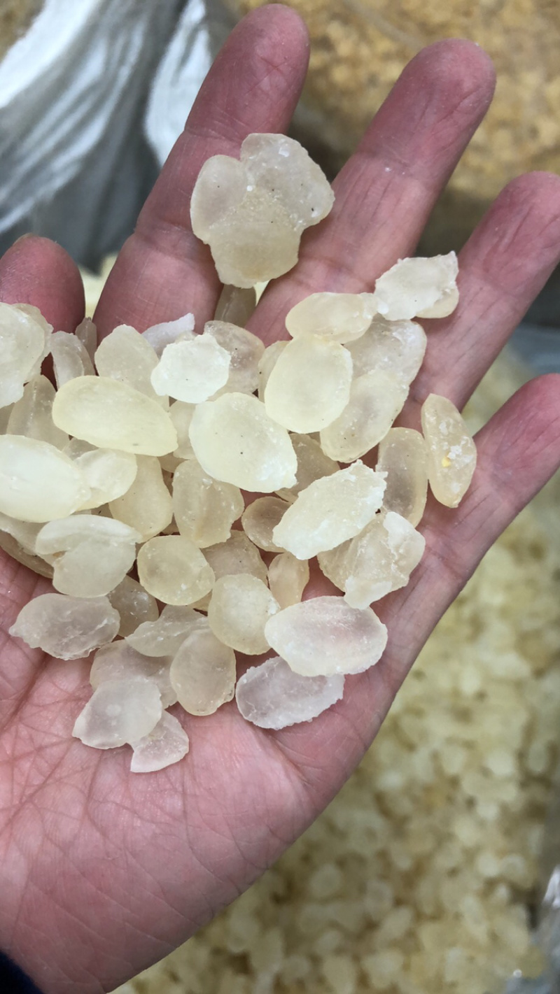 皂角米雪莲子现货批发规格齐全量大优惠