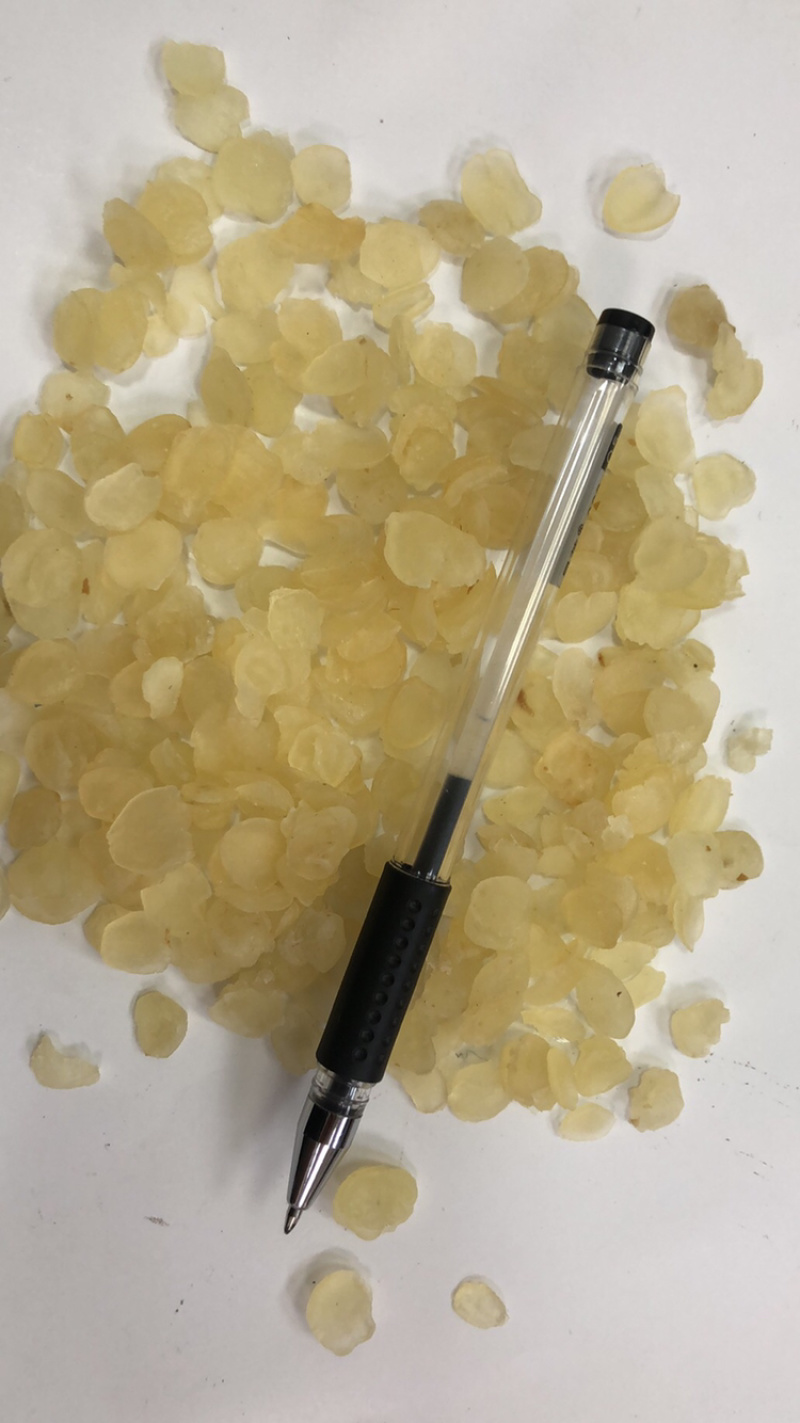皂角米雪莲子现货批发规格齐全量大优惠