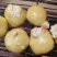 云南石屏网红小爆浆