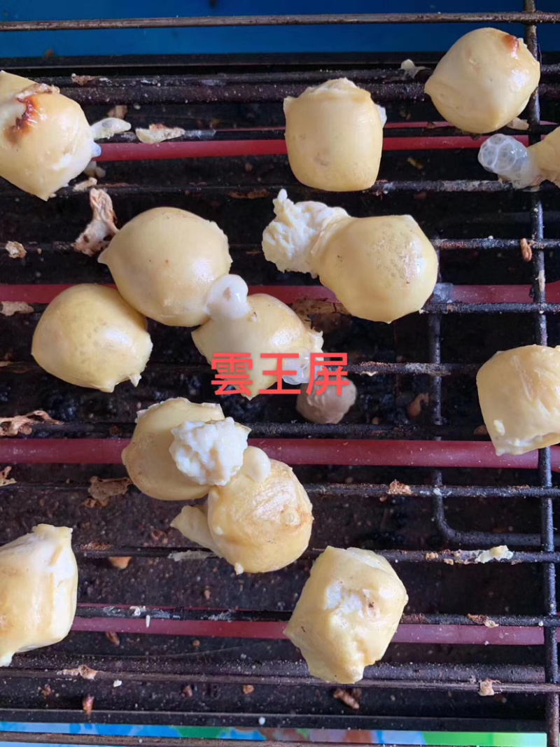 云南石屏网红小爆浆