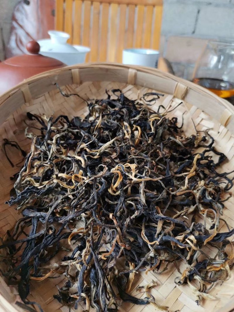 云南风庆野生乔木大树红