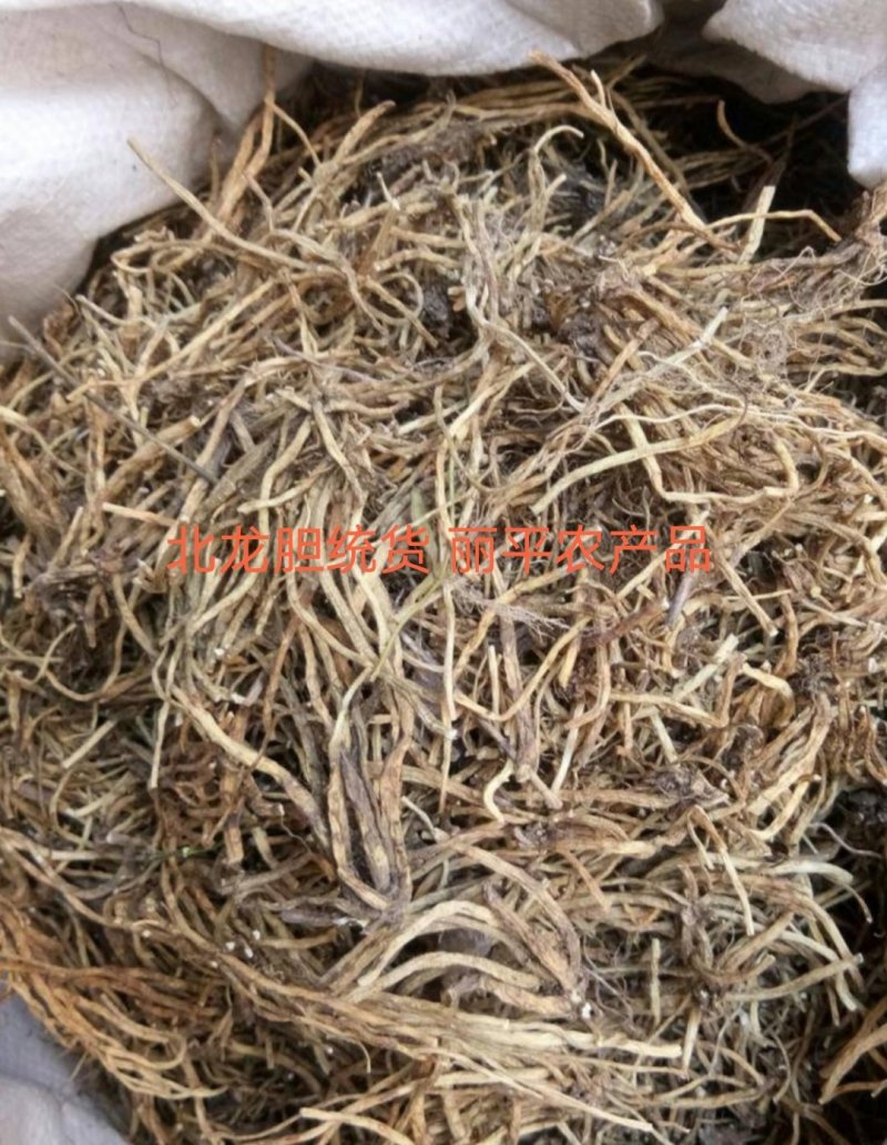 龙胆草北龙胆正品东北无硫熏规格齐全干净无一公斤起