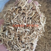 龙胆草北龙胆正品东北无硫熏规格齐全干净无一公斤起