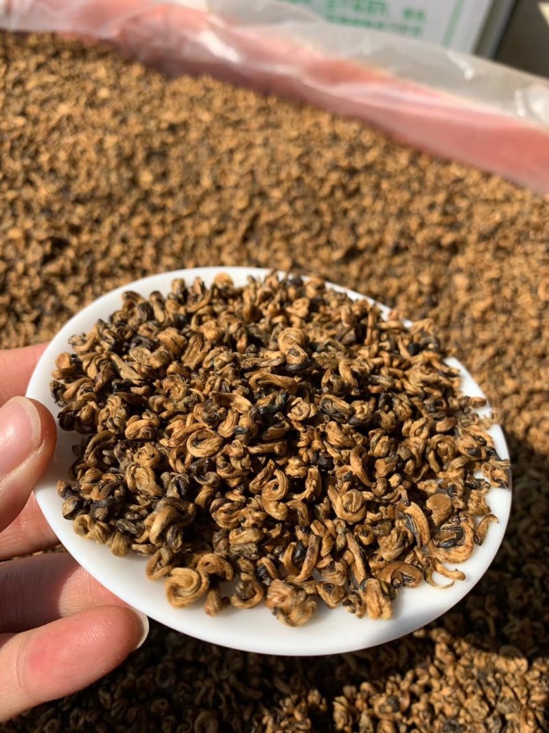 滇红茶2022年风庆滇红红金螺蜜香型柔甜