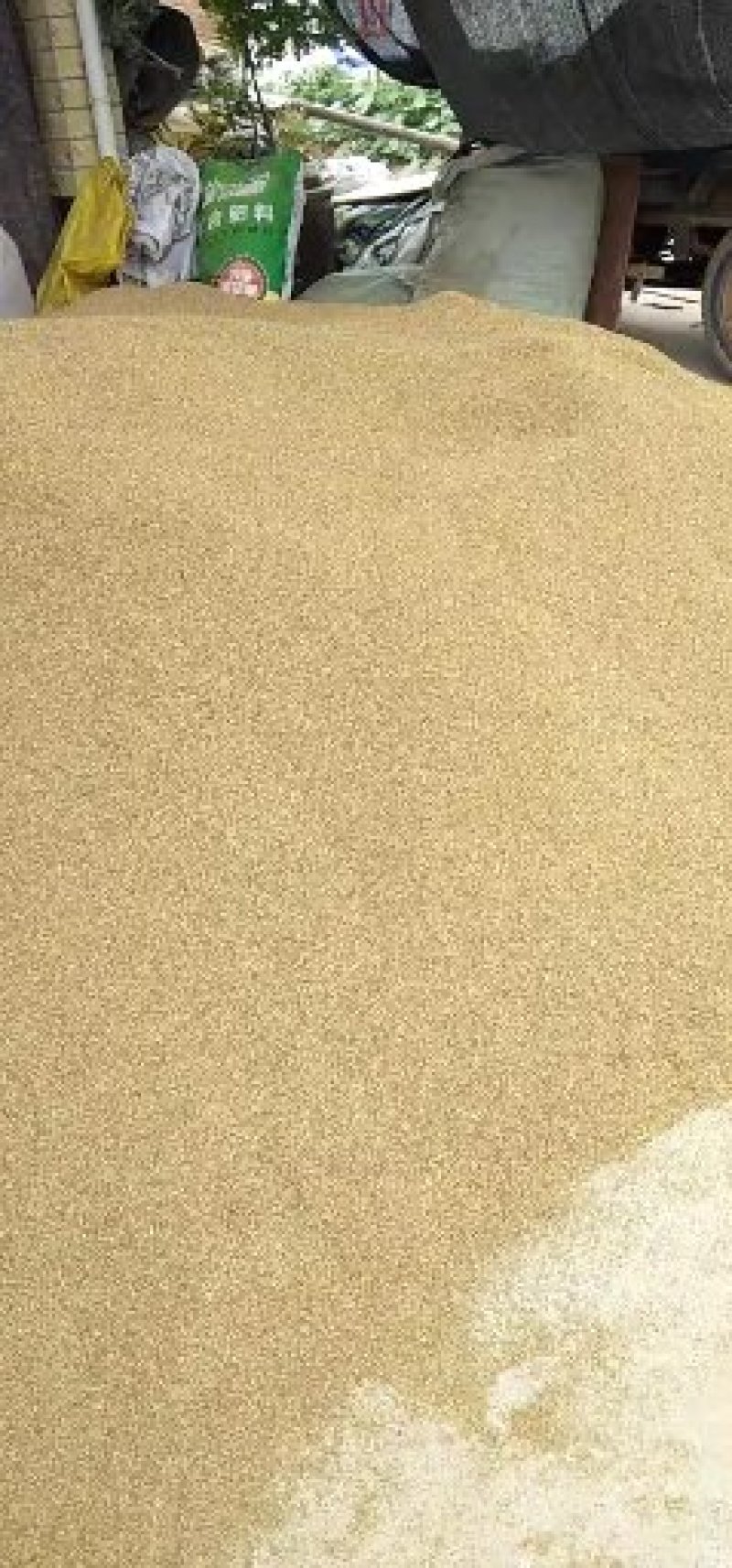 有大货供应