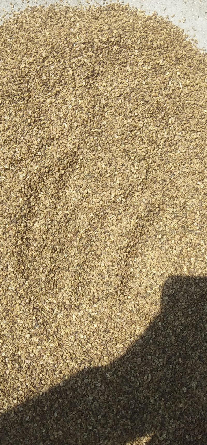有大货供应