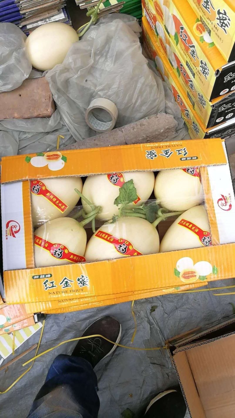 【现货】陕西甜瓜，四季银红甜瓜，脆梨甜瓜大量上市，通货