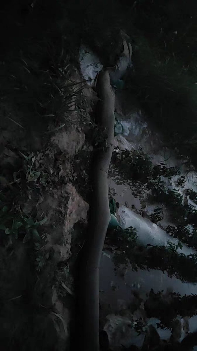 单袖双袖水浇地布水带管子灌溉浇地