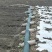 单袖双袖水浇地布水带管子灌溉浇地