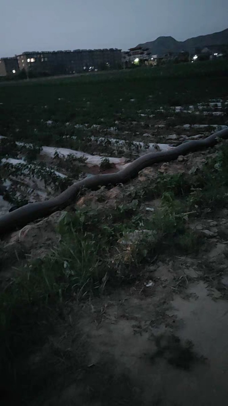 单袖双袖水浇地布水带管子灌溉浇地