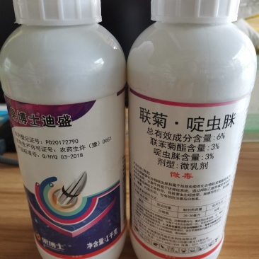 联菊.啶虫脒~抗性黑蚜虫，黄蚜虫，白粉虱，蓟马，潜叶蛾~