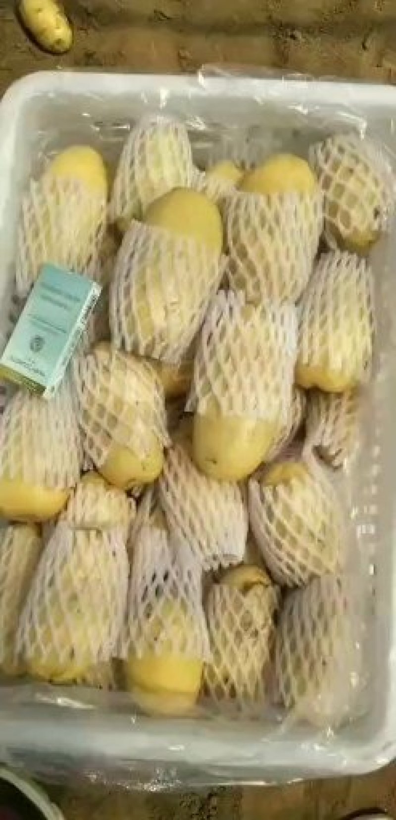 大量供应滕州冷库土豆，黄皮黄心，货源充足，寻长期合作