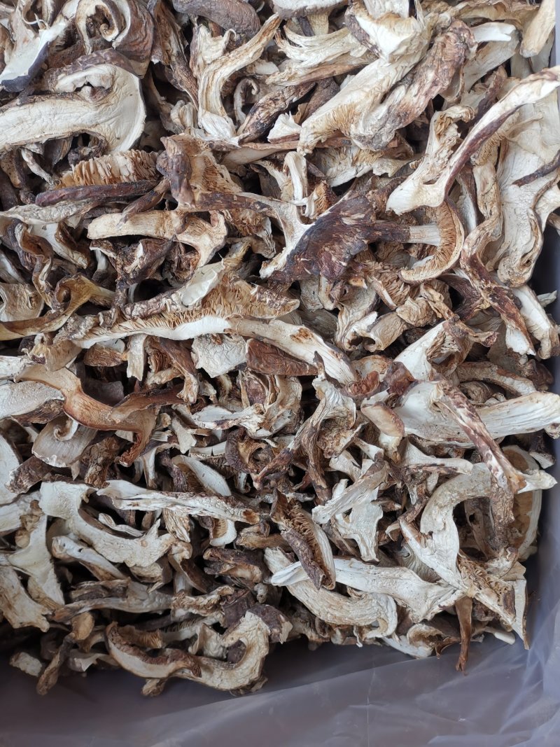 云南特产带皮松茸松茸干片产地货源大量批发