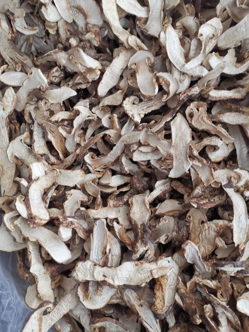 云南特产带皮松茸松茸干片产地货源大量批发