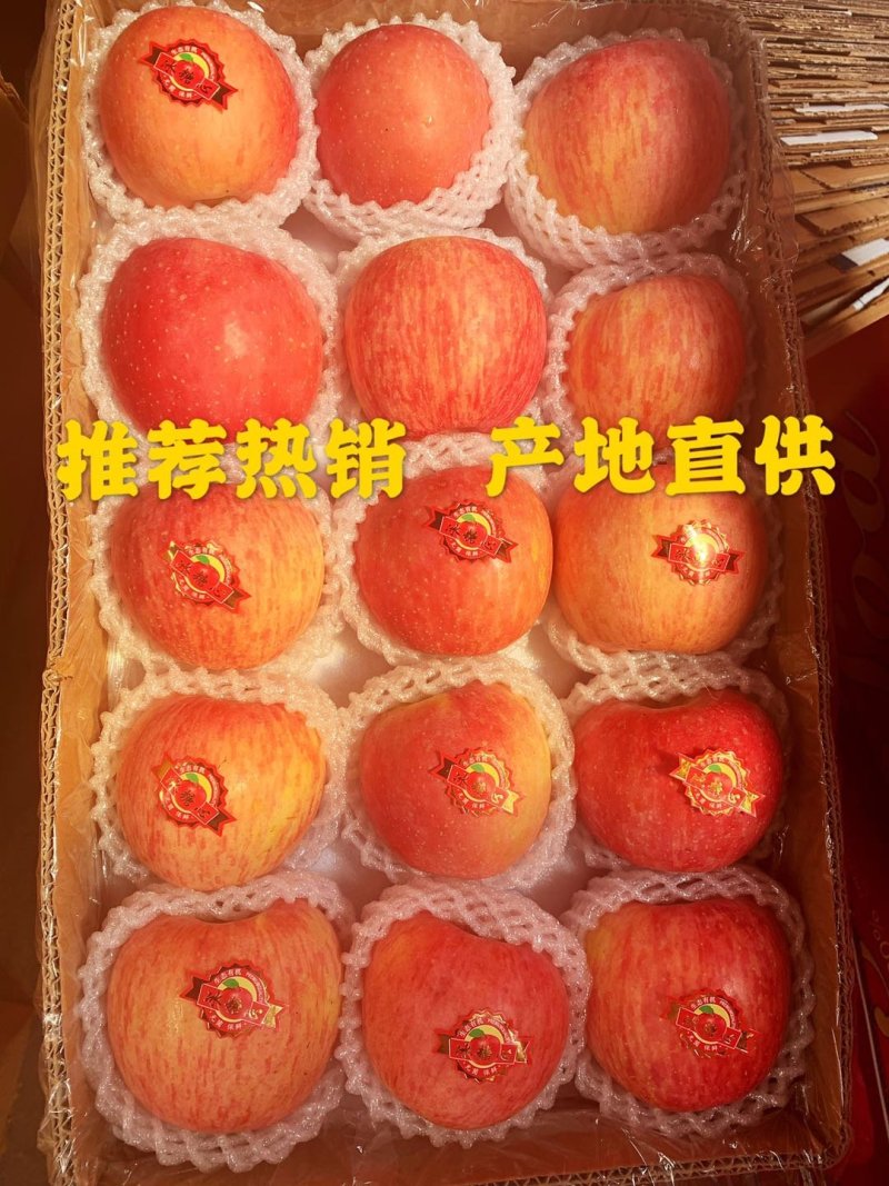 山东苹果红富士苹果对接商超电商出口团购市场