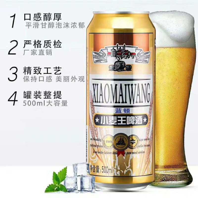 富维纯生风味啤酒小麦王菠萝啤摆摊跑江湖厂家一手货源