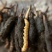 24小时在线服务价格美丽产地直发的**虫草新鲜到家