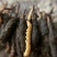 24小时在线服务价格美丽产地直发的**虫草新鲜到家