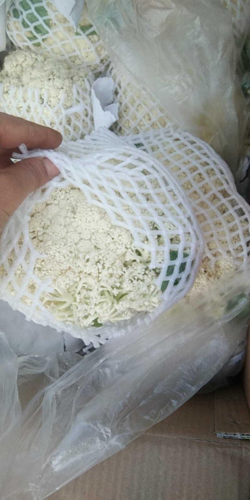 精品有机花菜，产地直发，量大从优，保质保量，全国发货