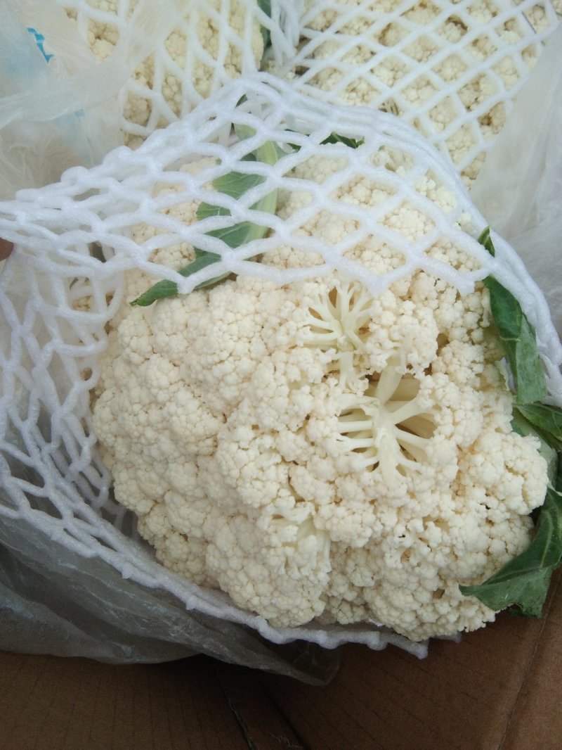 精品有机花菜，产地直发，量大从优，保质保量，全国发货