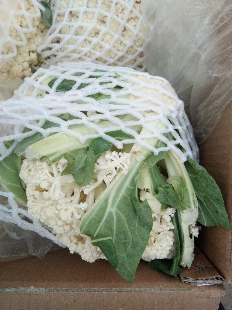 精品有机花菜，产地直发，量大从优，保质保量，全国发货