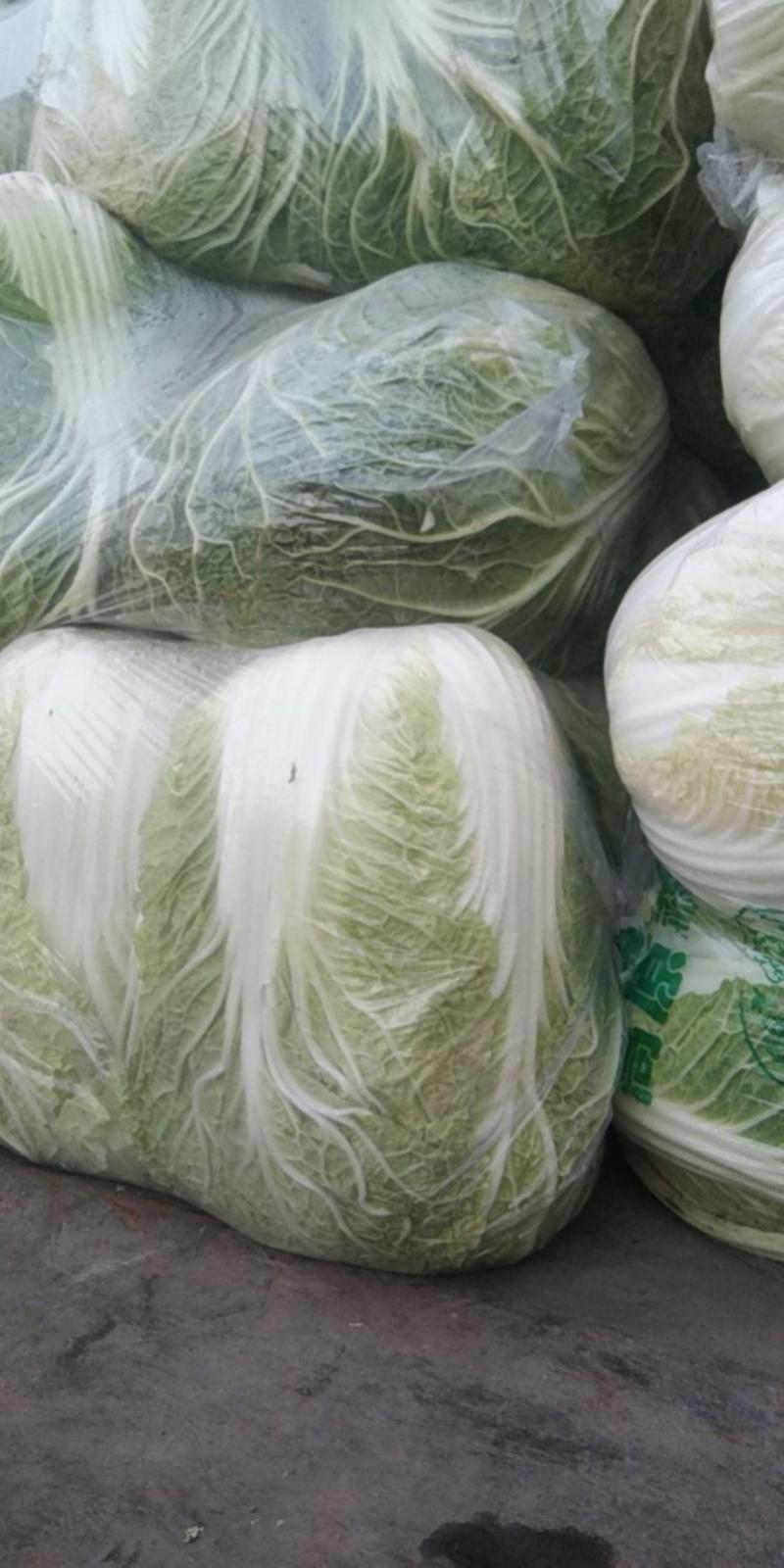 大白菜净菜4~6斤走超市。走市场。质量好。