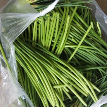 蒜薹精品60~70cm红帽蒜苔，走市场，存库