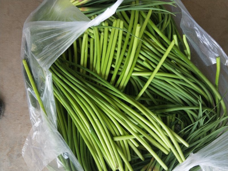 蒜薹精品60~70cm红帽蒜苔，走市场，存库