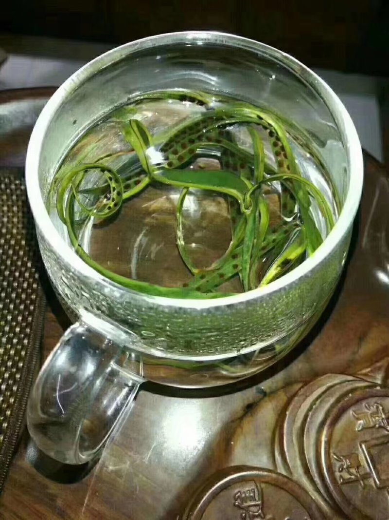 野生化石草云南直销肾精茶批发滑石草结石