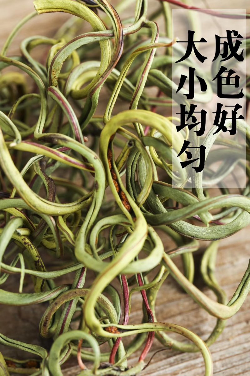 野生化石草云南直销肾精茶批发滑石草结石