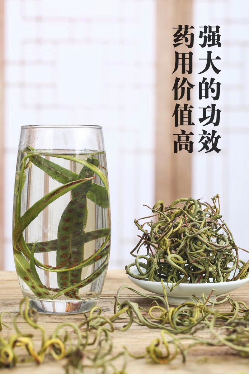 野生化石草云南直销肾精茶批发滑石草结石