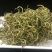 野生化石草云南直销肾精茶批发滑石草结石